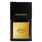BLACK CALAMUS